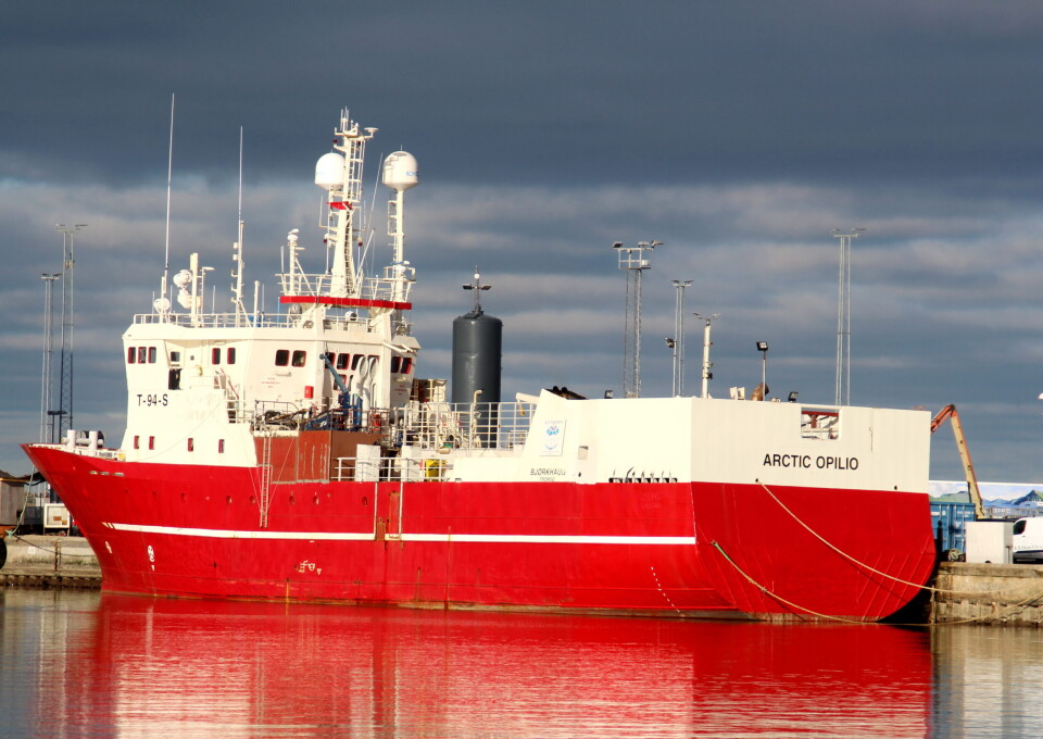 Snøkrabbefiskeren Bengt Are Korneliussen kontrollerer en rekke krabbebåter. Blant annet Arctic Opilio (bildet). Snøkrabbefiskeren Bengt Are Korneliussen kontrollerer en rekke krabbebåter. Blant annet Arctic Opilio (bildet).