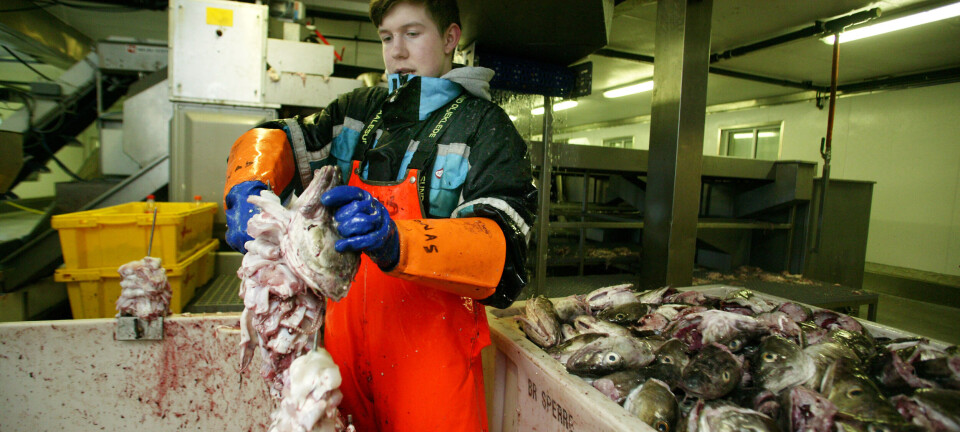 – Kan torsketirsdag, fiskebolletorsdag og skalldyrlørdag bli den nye normalen?