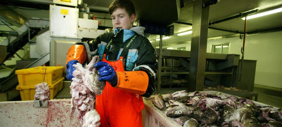 – Kan torsketirsdag, fiskebolletorsdag og skalldyrlørdag bli den nye normalen?