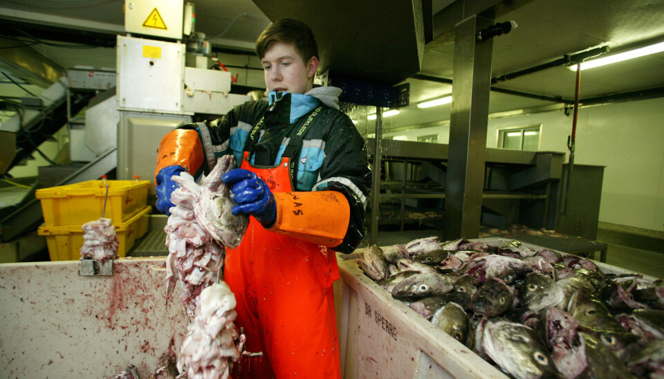 SJØMAT TIL ALLE: – En kortversjon av Helsedirektoratet sine kostråd er at fisk, grønt og grovt er bra mens kjøtt og søtt må være som «krydder» å regne, skriver kronikkforfatterne. SJØMAT TIL ALLE: – En kortversjon av Helsedirektoratet sine kostråd er at fisk, grønt og grovt er bra mens kjøtt og søtt må være som «krydder» å regne, skriver kronikkforfatterne.